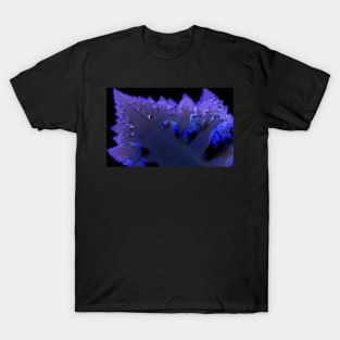 romanesco cauliflower T-Shirt